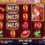 Slot Golden Beauty Terbaru 2023 Indonesia Terbaru Video